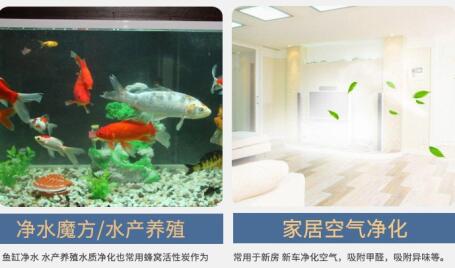 河北正規(guī)蜂窩活性炭廠家